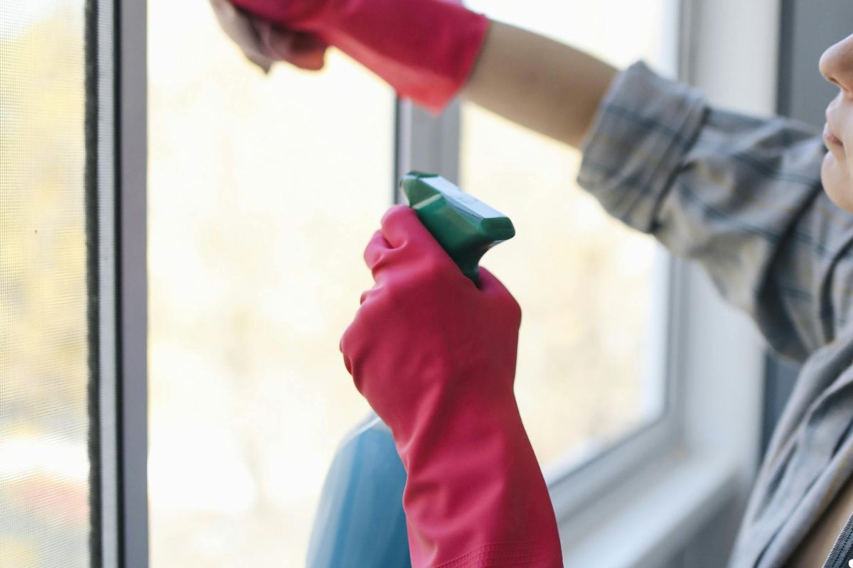 Sparkling Clean Windows in Fargo: Why Choose Fish Window Cleaning?